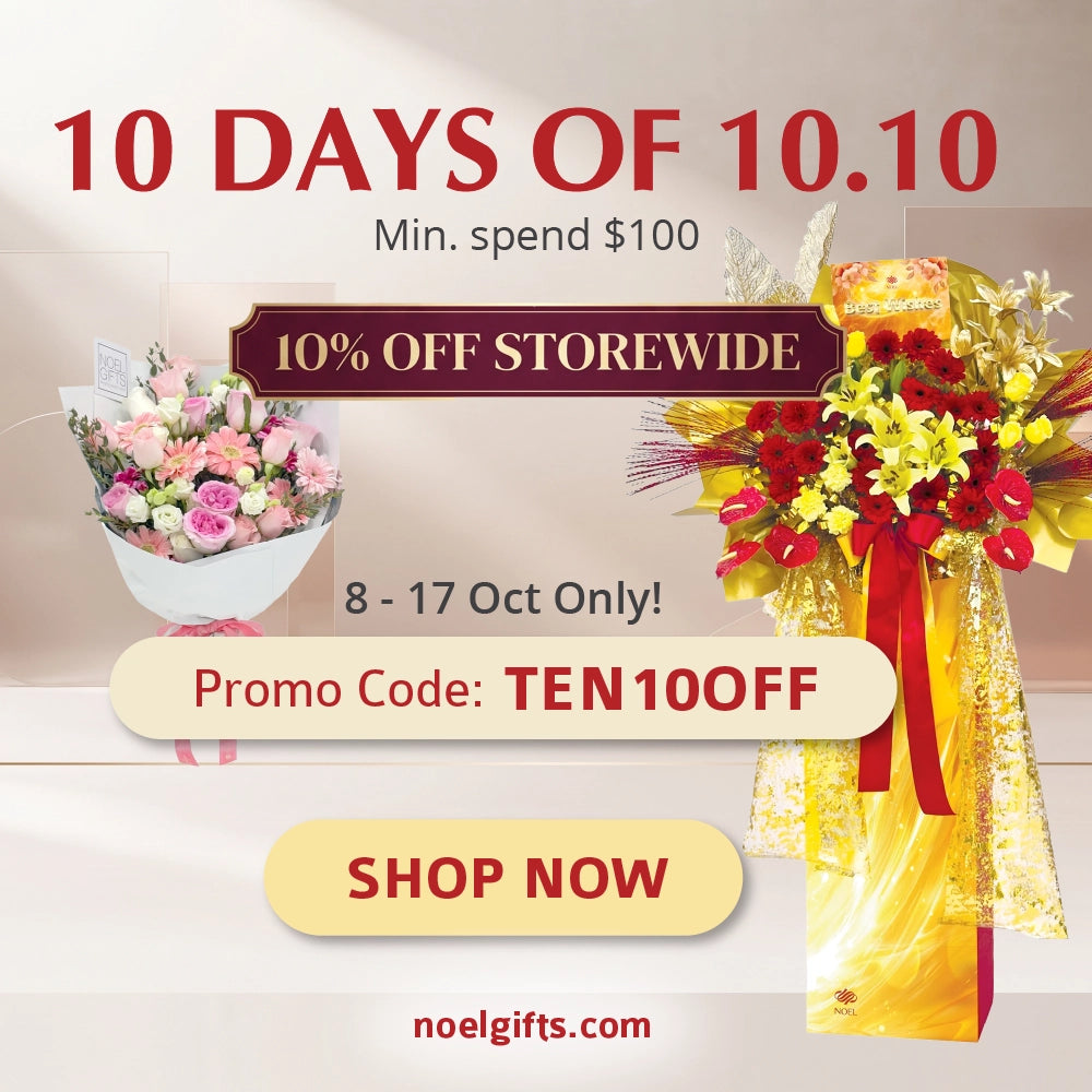 Enter Code: &nbsp;<strong>TEN10OFF</strong>&nbsp;