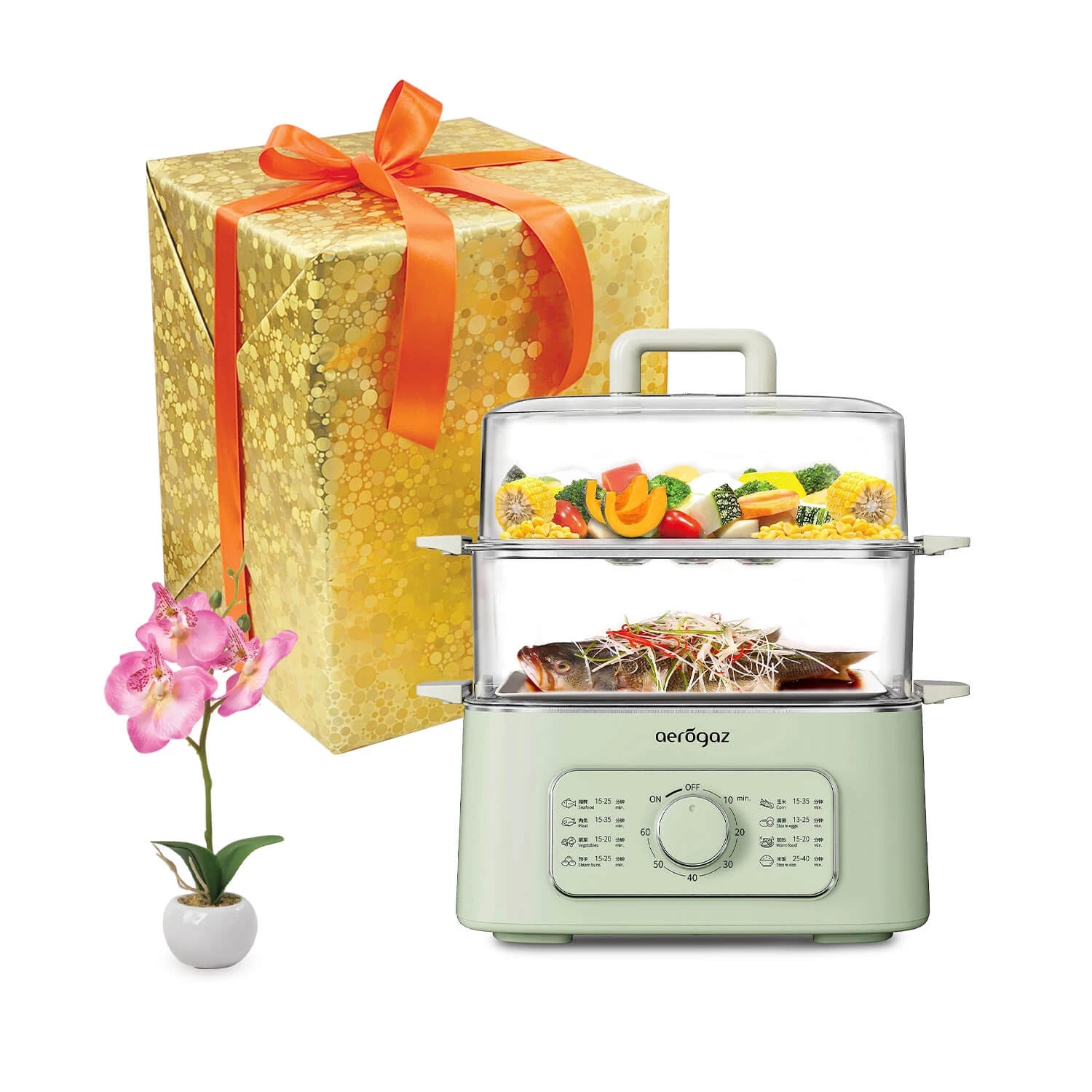 Aerogaz 2-Tier Steamer Gift