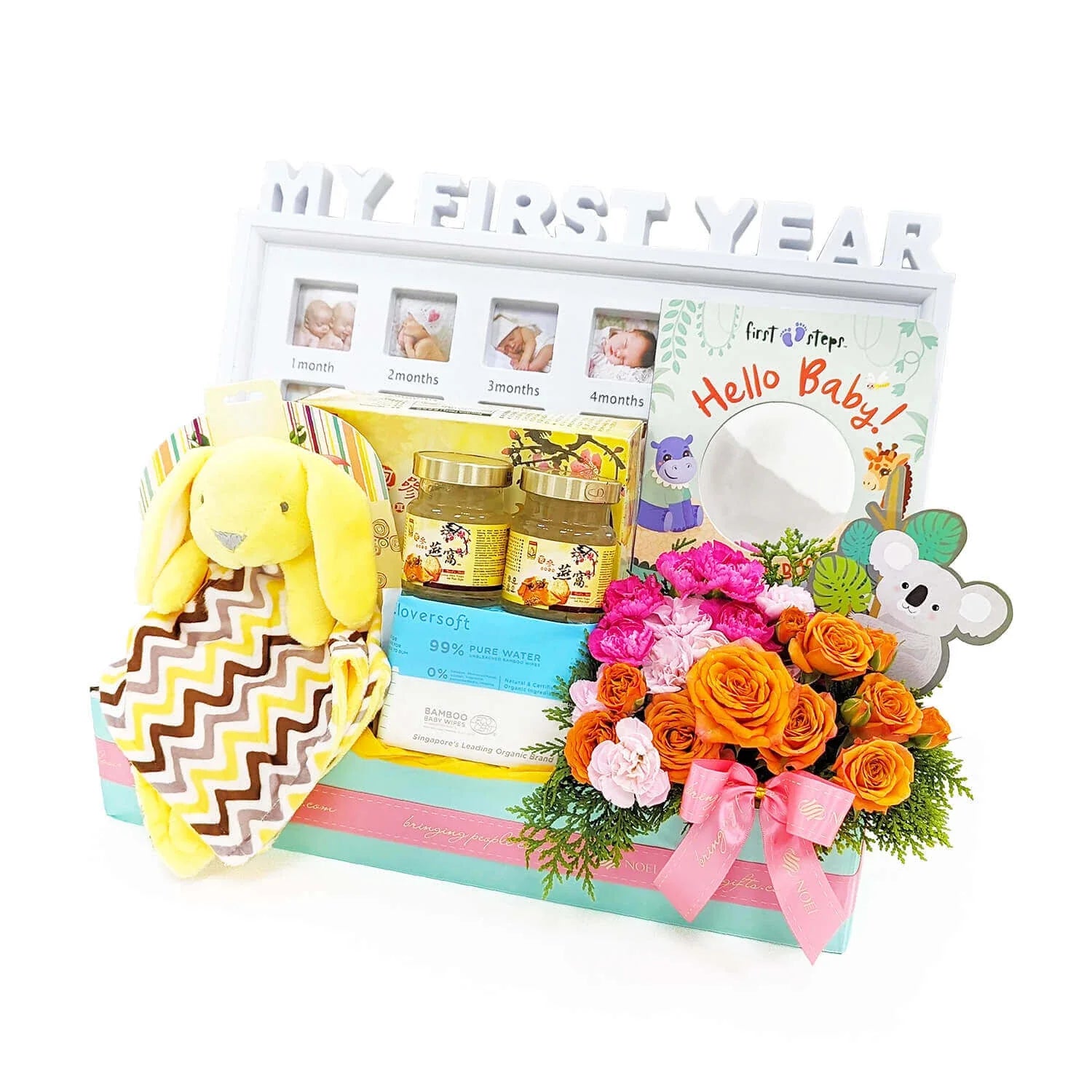 Newborn My First Year Baby Gift