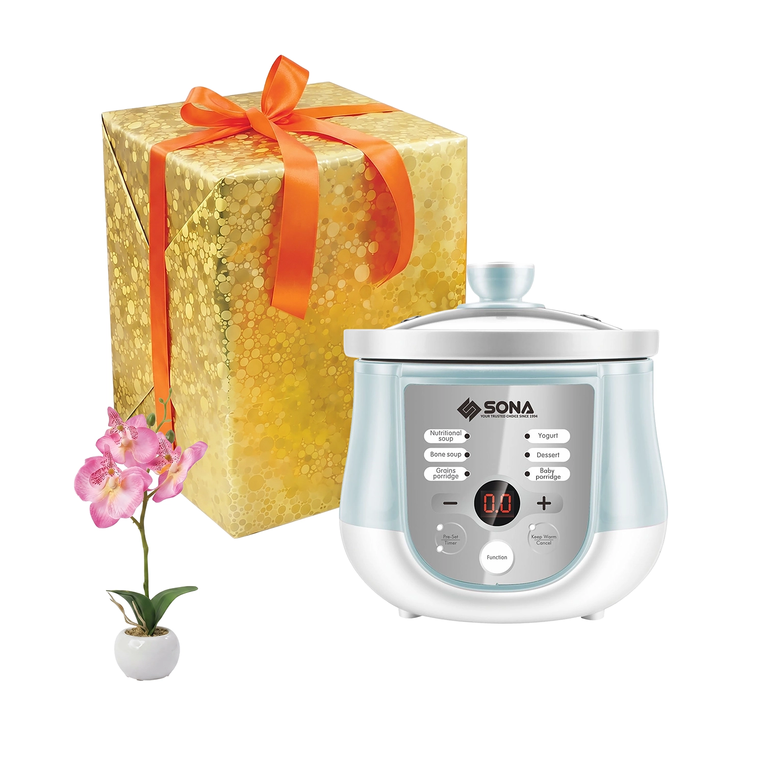 SONA Digital Stew Cooker 1.0L