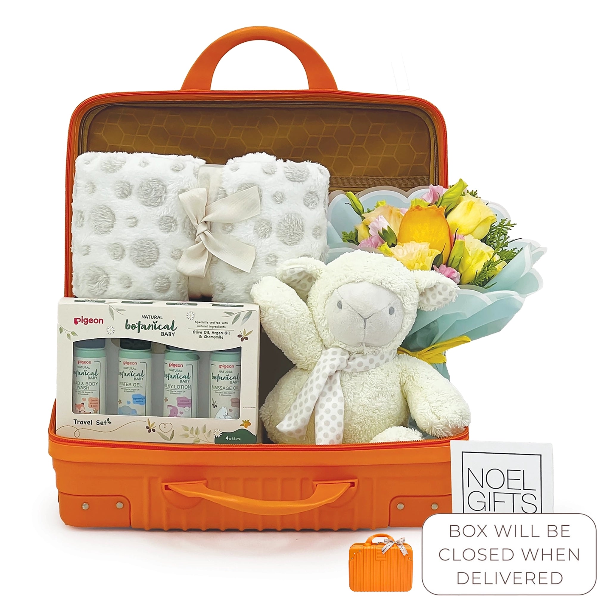 Newborn We Care Baby Gift