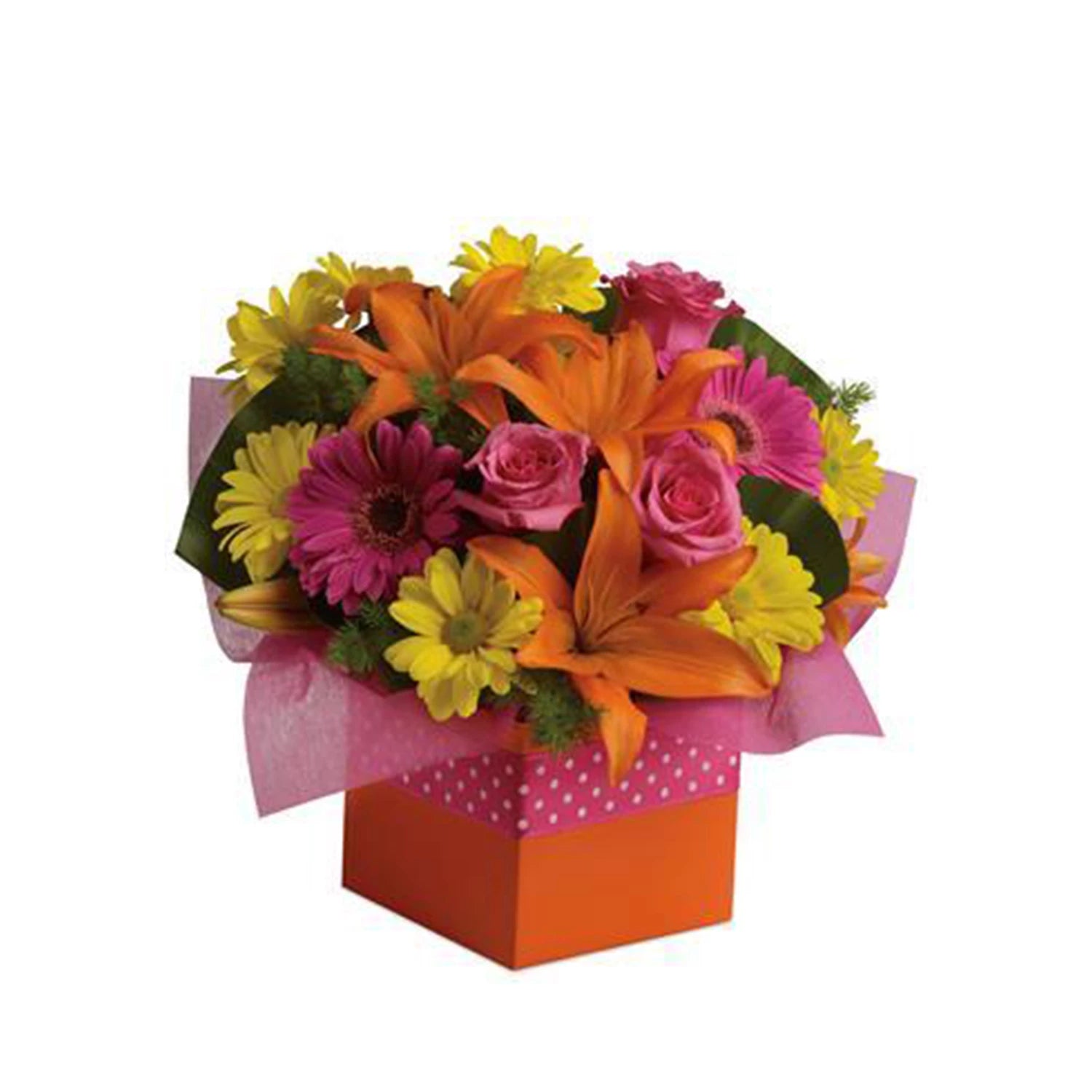 Starburst Splash - Flower Arrangement