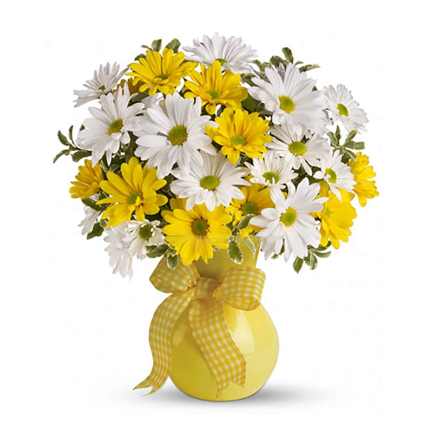 Classic Yellow & White Daisies