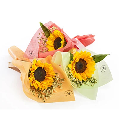 Bundle of Sunshine – A Bundle of 3