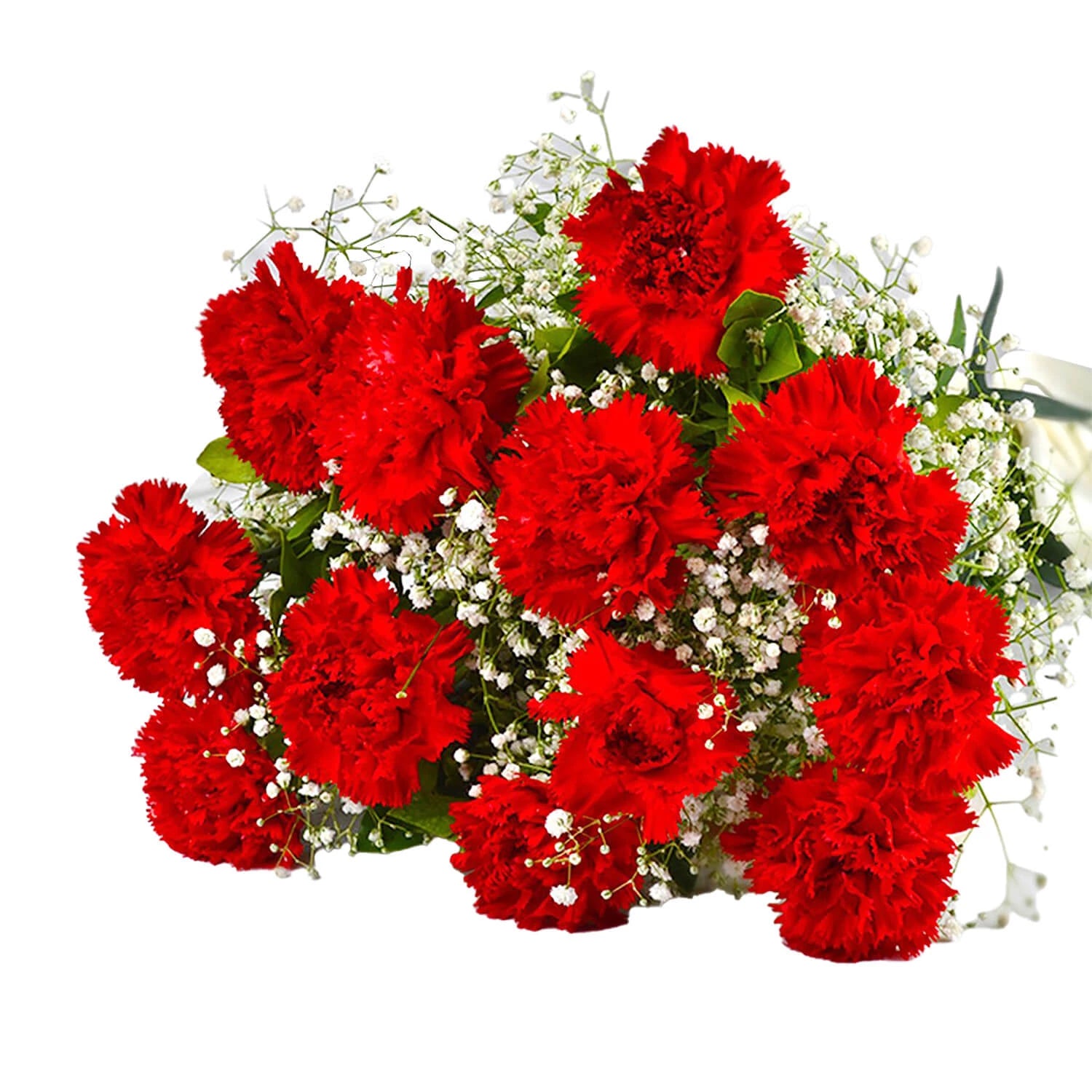 Bouquet Of Dozen Red Carnations