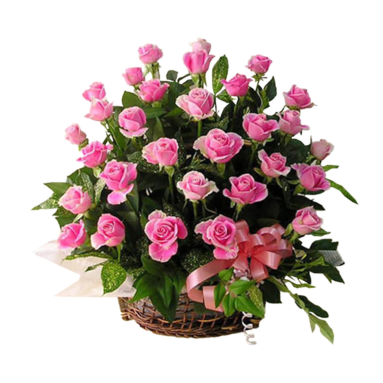 Pink Pearl Roses