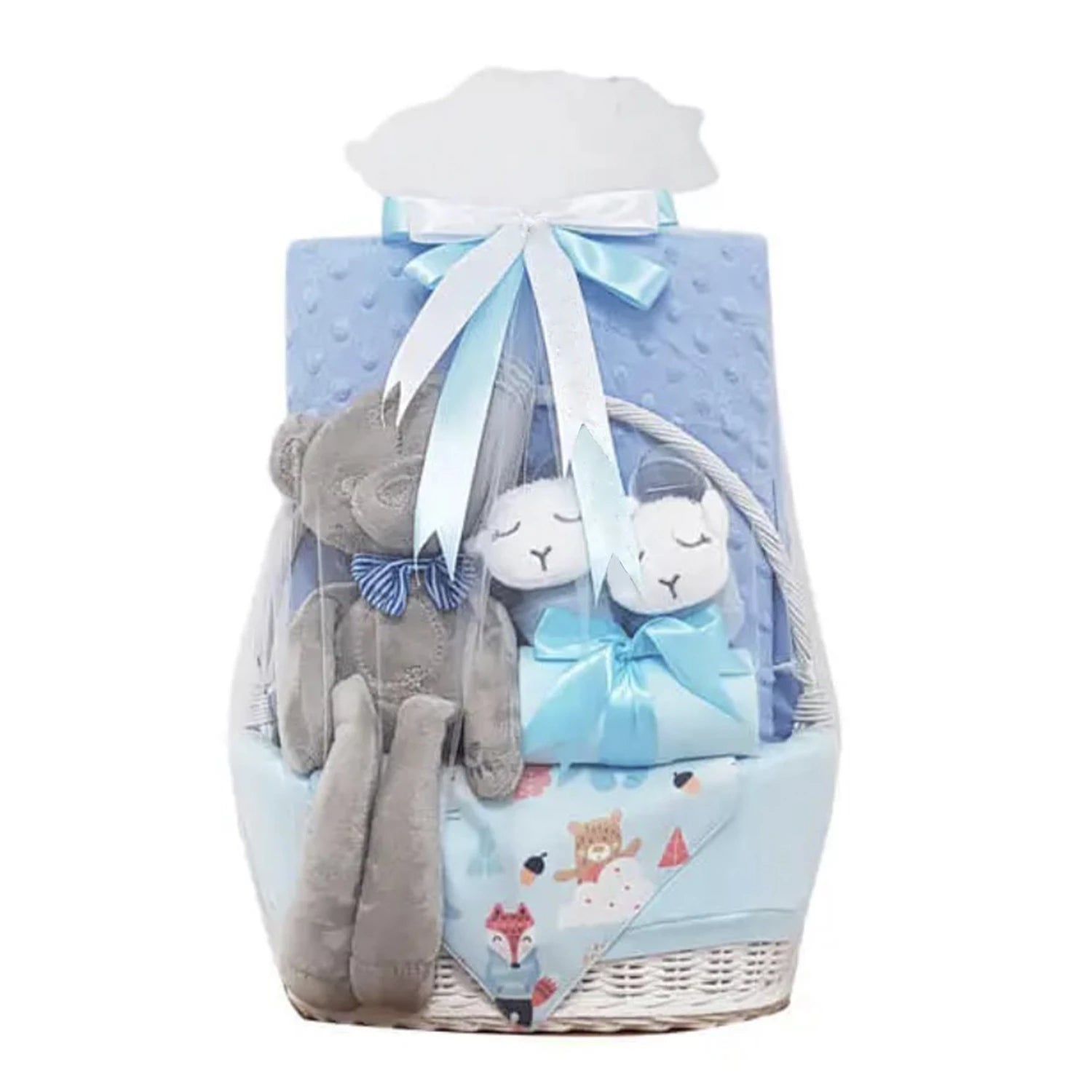 Little Lovebug Hamper- BOY