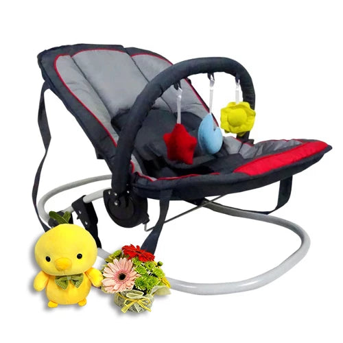 Bouncer Newborn Gift