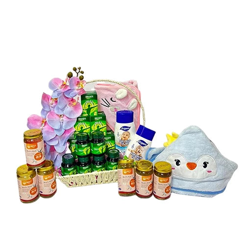 Baby Essentials Newborn Gift
