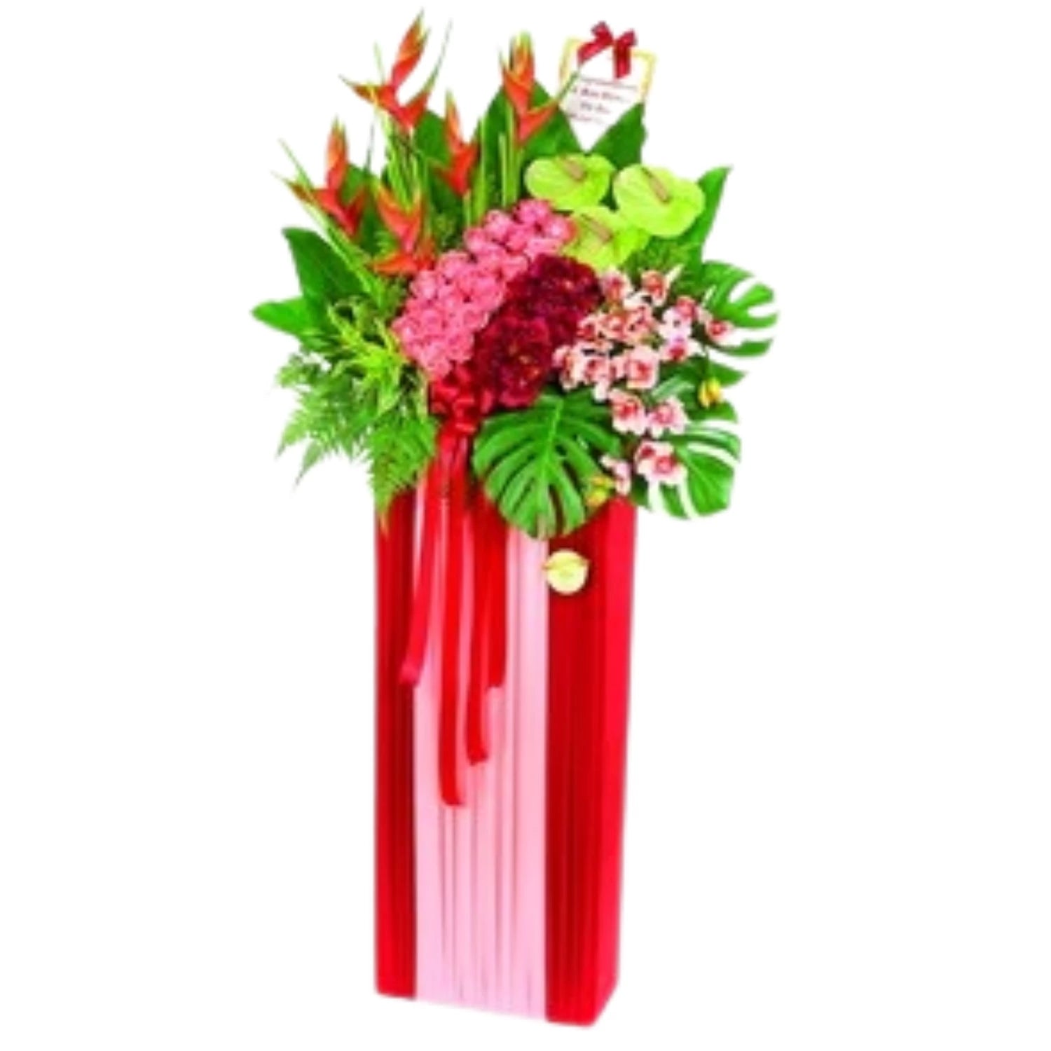 Growing Wealth Congratulatory Flowers