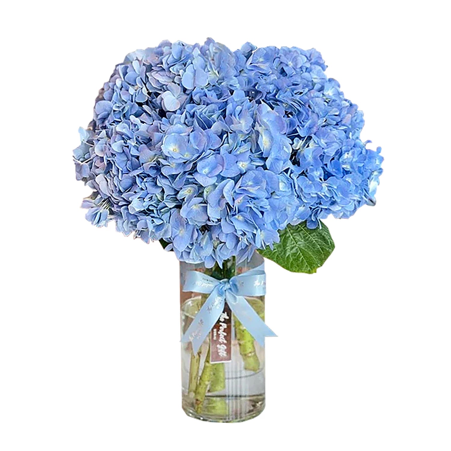 Blue Hydrangea Vase